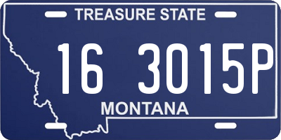 MT license plate 163015P