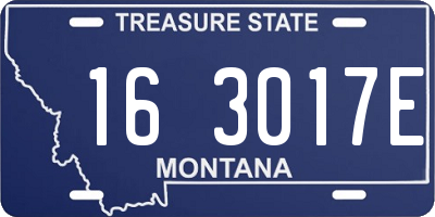 MT license plate 163017E