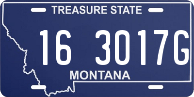 MT license plate 163017G
