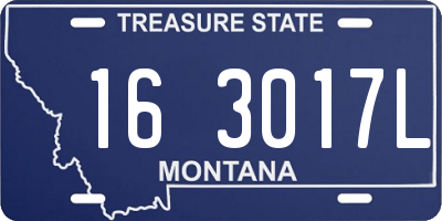 MT license plate 163017L