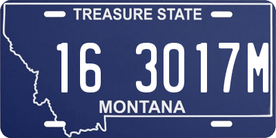 MT license plate 163017M
