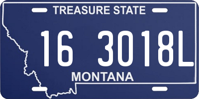 MT license plate 163018L