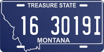 MT license plate 163019I
