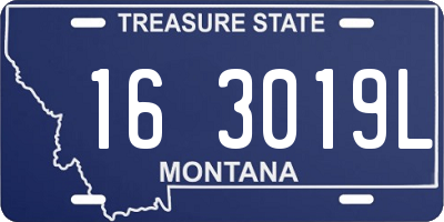 MT license plate 163019L