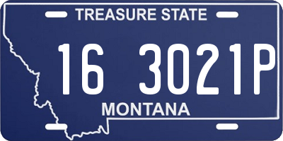 MT license plate 163021P