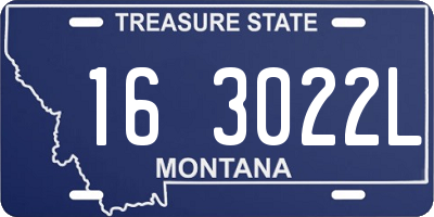 MT license plate 163022L