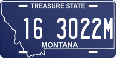 MT license plate 163022M