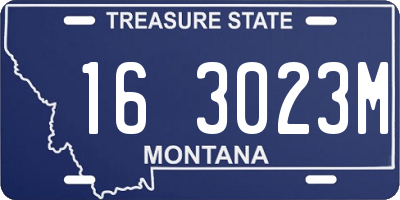 MT license plate 163023M