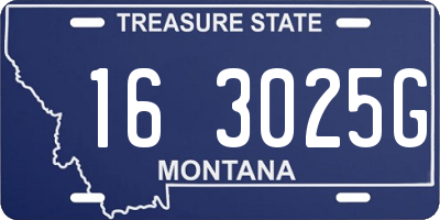 MT license plate 163025G