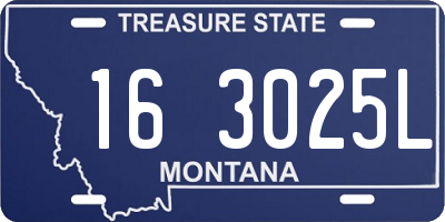 MT license plate 163025L