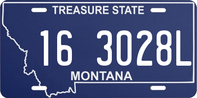 MT license plate 163028L