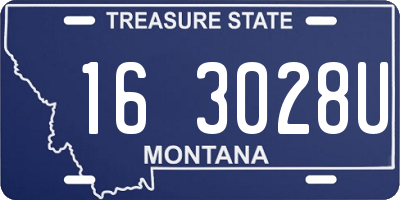 MT license plate 163028U