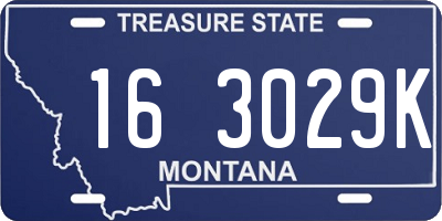 MT license plate 163029K