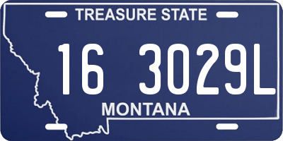 MT license plate 163029L