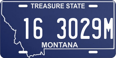 MT license plate 163029M