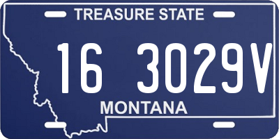 MT license plate 163029V