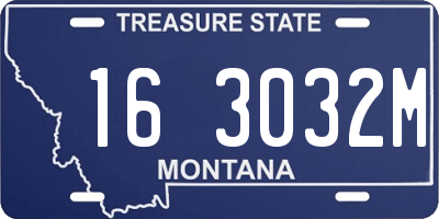 MT license plate 163032M