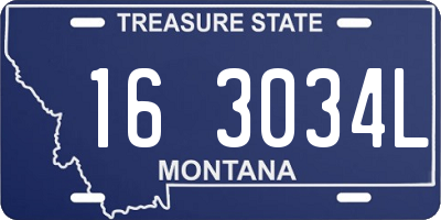 MT license plate 163034L