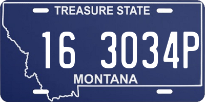 MT license plate 163034P