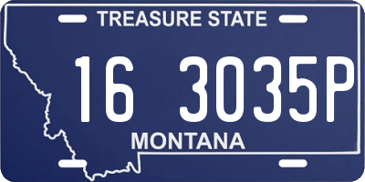 MT license plate 163035P