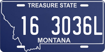 MT license plate 163036L