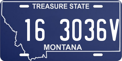 MT license plate 163036V