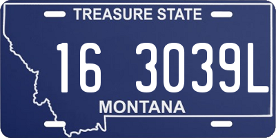 MT license plate 163039L