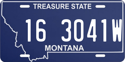 MT license plate 163041W