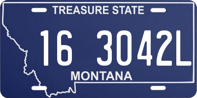 MT license plate 163042L