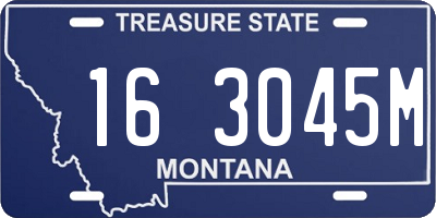 MT license plate 163045M