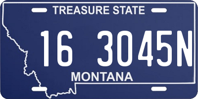 MT license plate 163045N