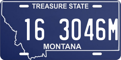 MT license plate 163046M