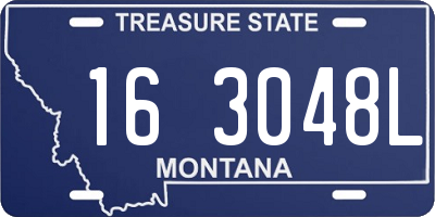 MT license plate 163048L