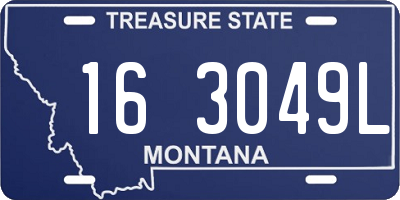 MT license plate 163049L