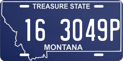 MT license plate 163049P