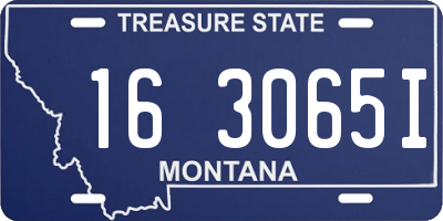 MT license plate 163065I
