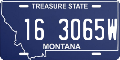 MT license plate 163065W