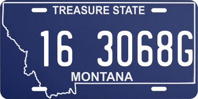 MT license plate 163068G