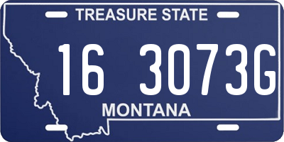 MT license plate 163073G