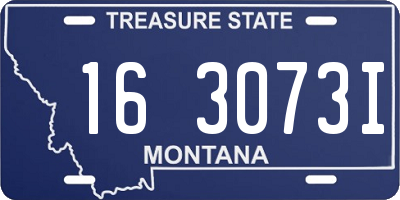MT license plate 163073I