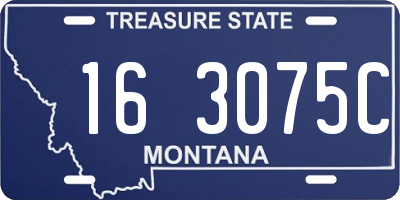 MT license plate 163075C