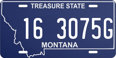 MT license plate 163075G
