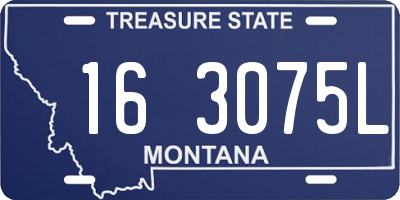 MT license plate 163075L