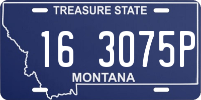MT license plate 163075P