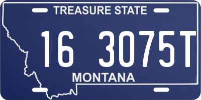MT license plate 163075T