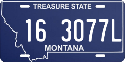 MT license plate 163077L