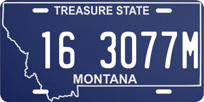 MT license plate 163077M