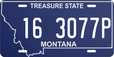MT license plate 163077P