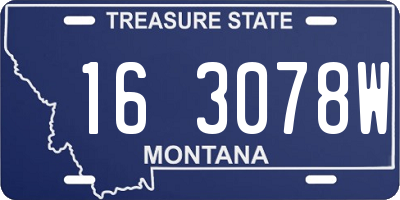 MT license plate 163078W