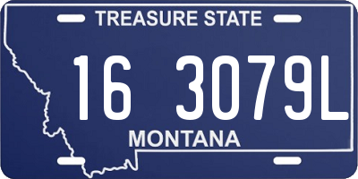 MT license plate 163079L